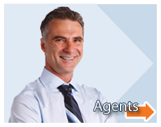 real estate agent marketing systems